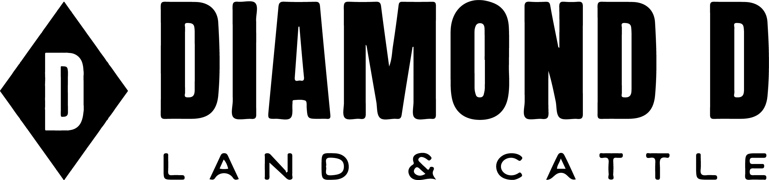 Horizontal Logo.jpg